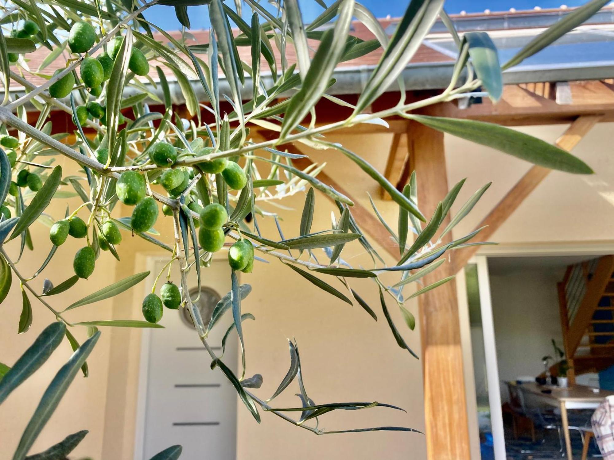 Maison Mer & Jardin Ouistreham Riva-Bella 外观 照片